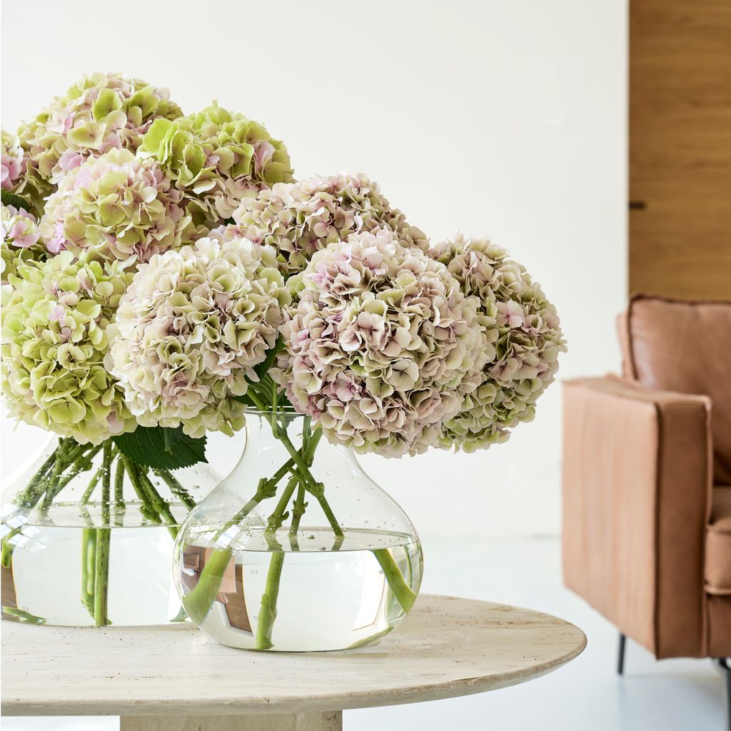Ramos a base de hortensias