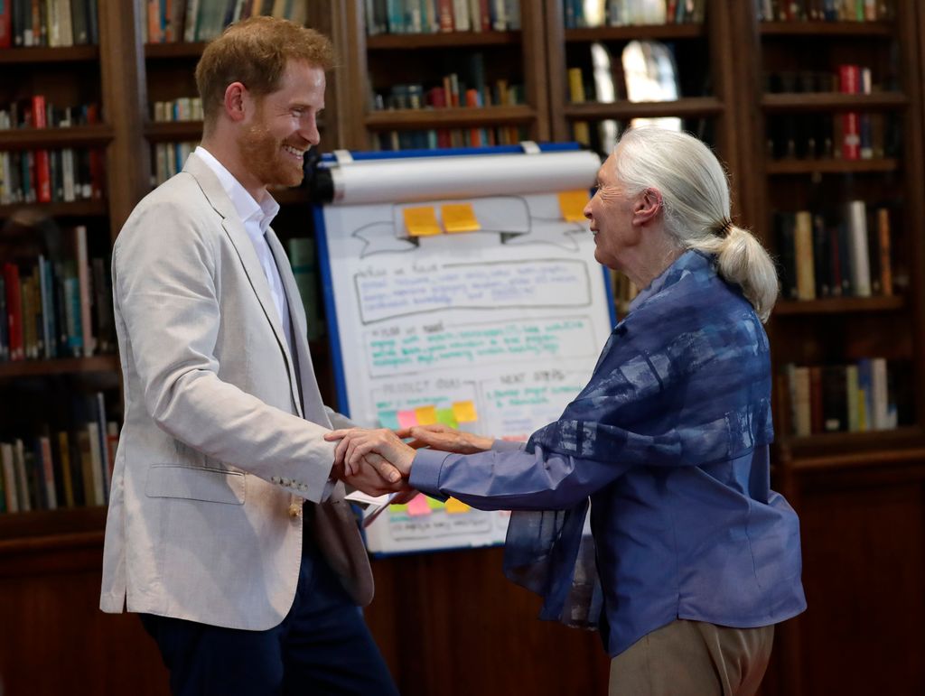 El príncipe Harry y Jane Goodall en el 2019