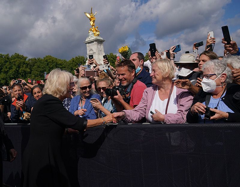 buckingham multitudes