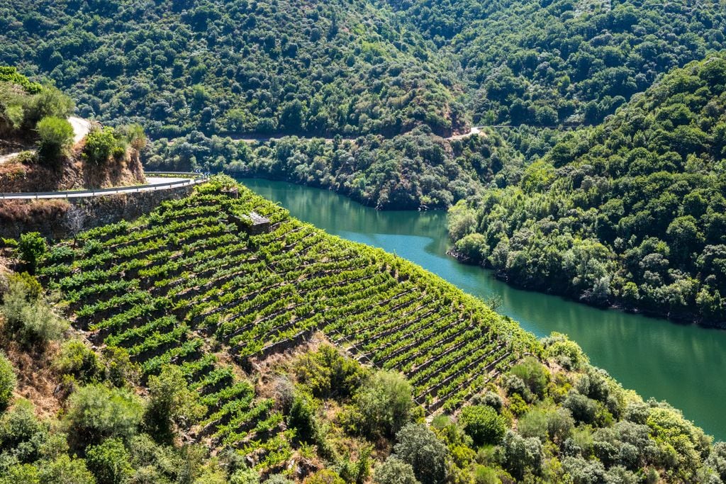La Ribeira Sacra, en Ourense, es conocida por sus espectaculares paisajes de cañones y viñedos.