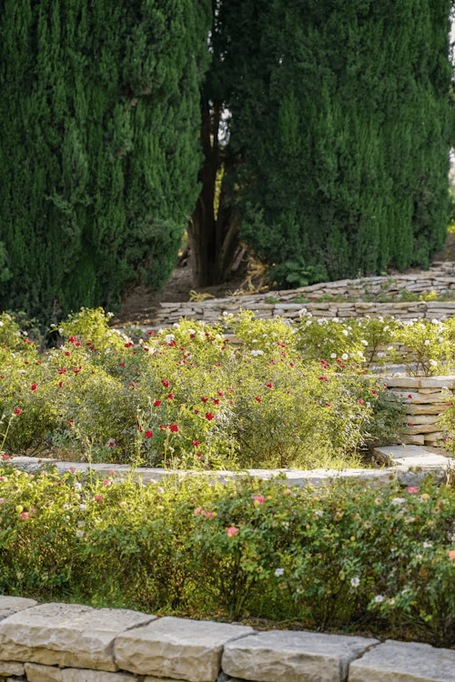 Jardín