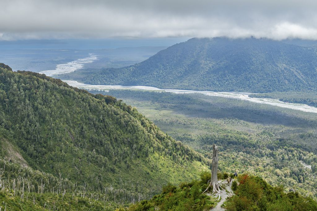 Su legado incluye millones de hectáreas convertidas en parques naturales en Chile y Argentina. En la imagen, el Parque Nacional Pumalín Douglas Tompkins, al sur de Chile