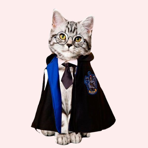 harry pottter