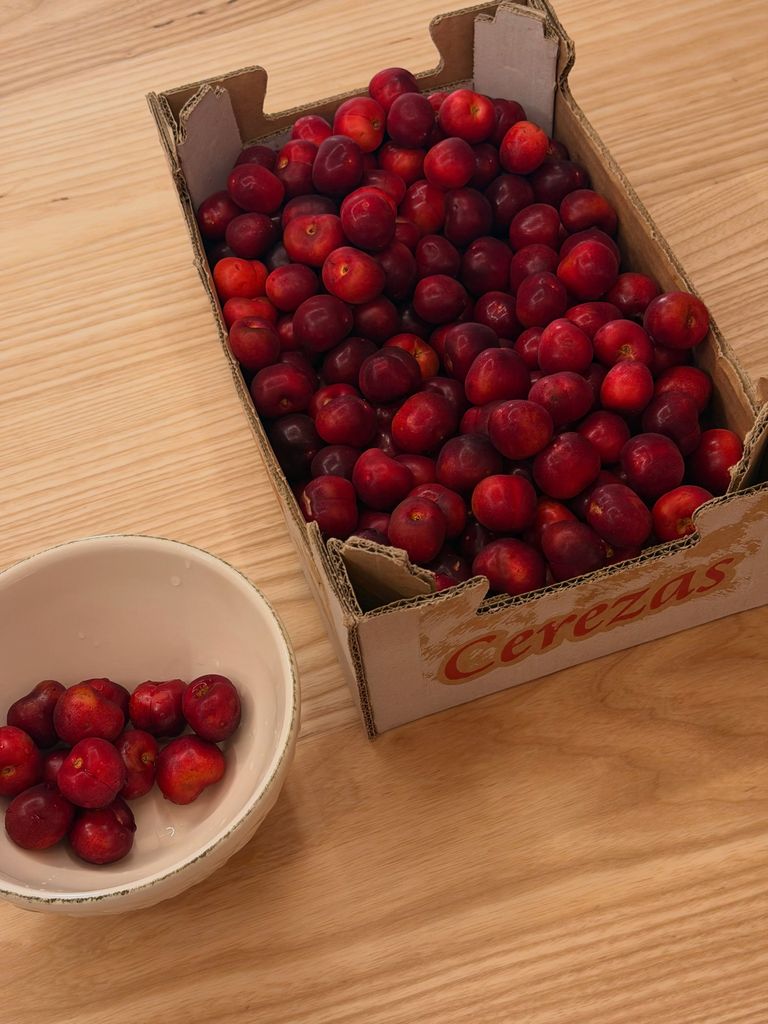 Las cerezas de Candeleda, cultivadas en las faldas de la Sierra de Gredos (Ávila), son reconocidas por su excelente calidad