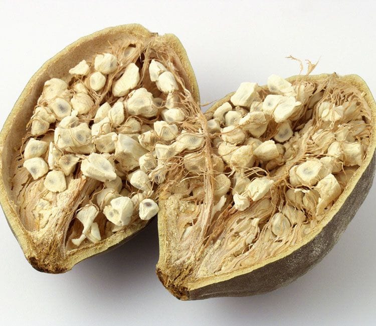 Baobab