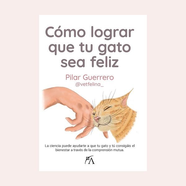 como lograr que tu gato sea feliz