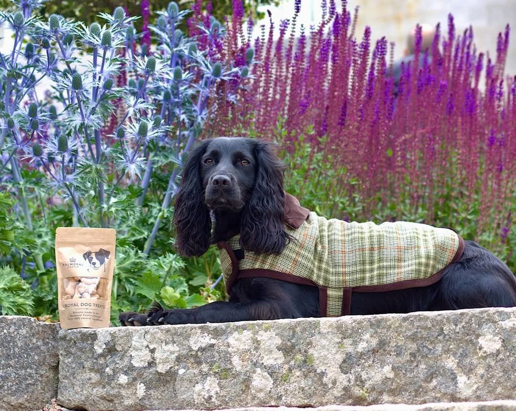 Los abrigos, con cuello marrón, se promocionan como “elegantes y perfectos para los fríos paseos invernales".