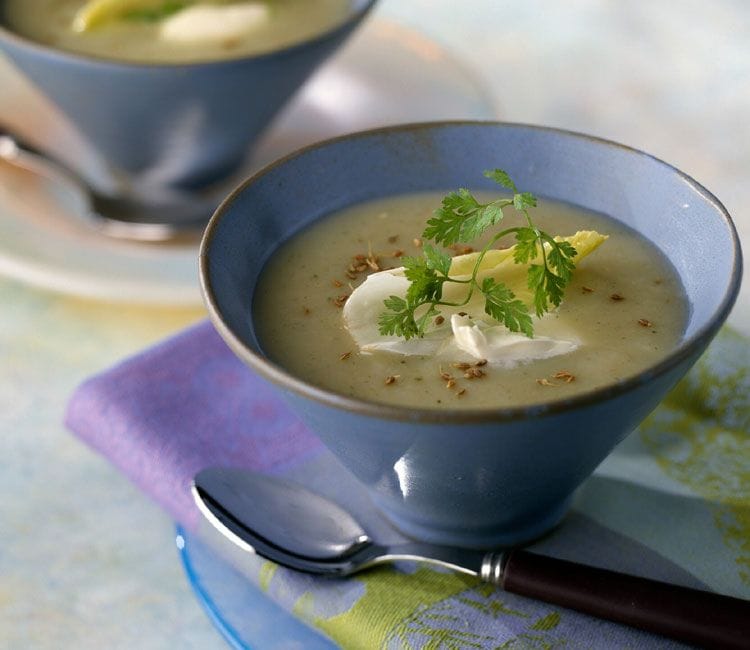 Crema de achicoria con hinojo