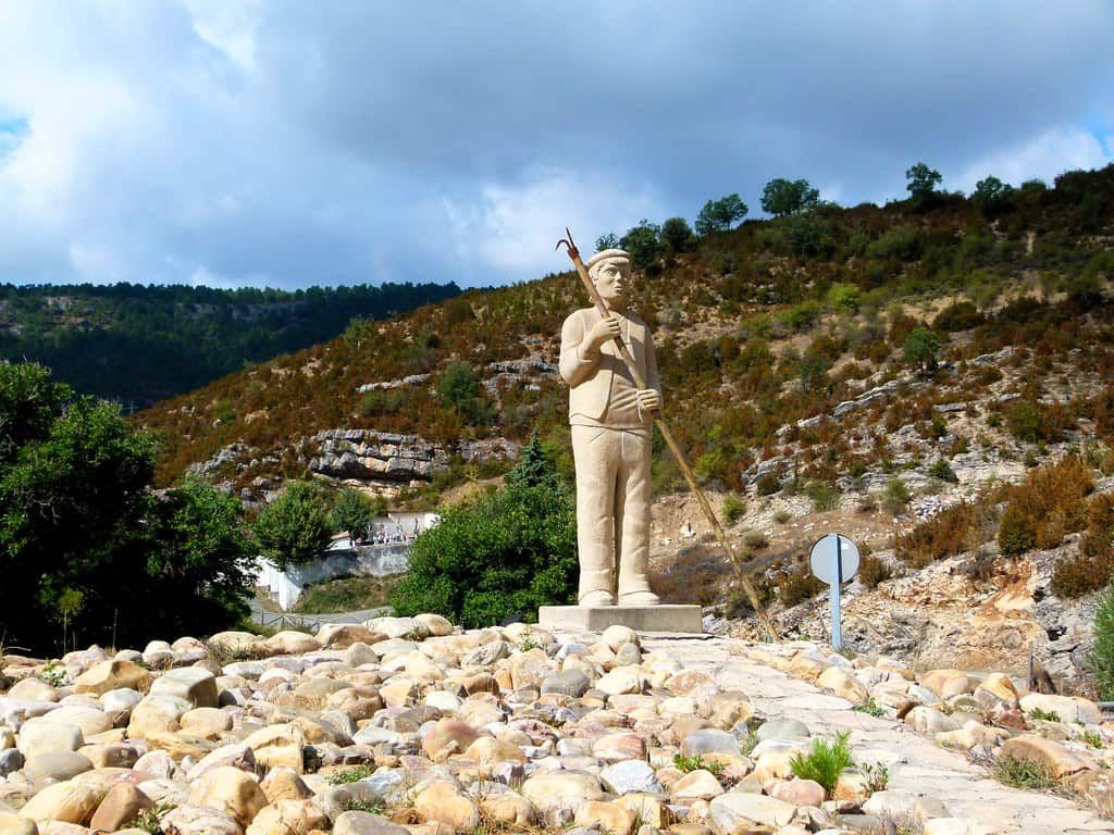 Media Image