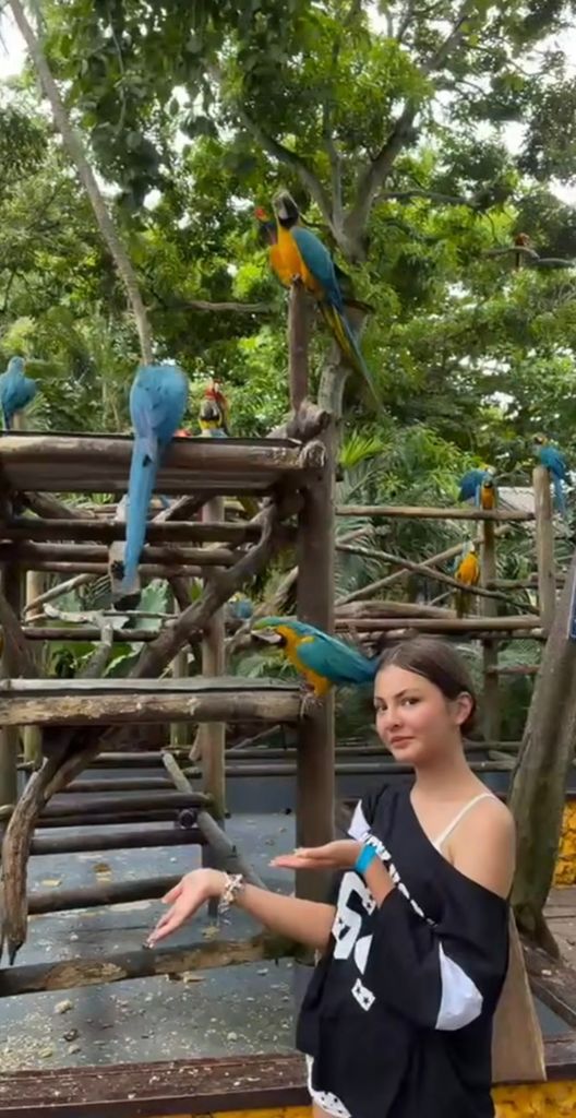 No podía faltar un posado tradicional con las hermosas guacamayas azules. 