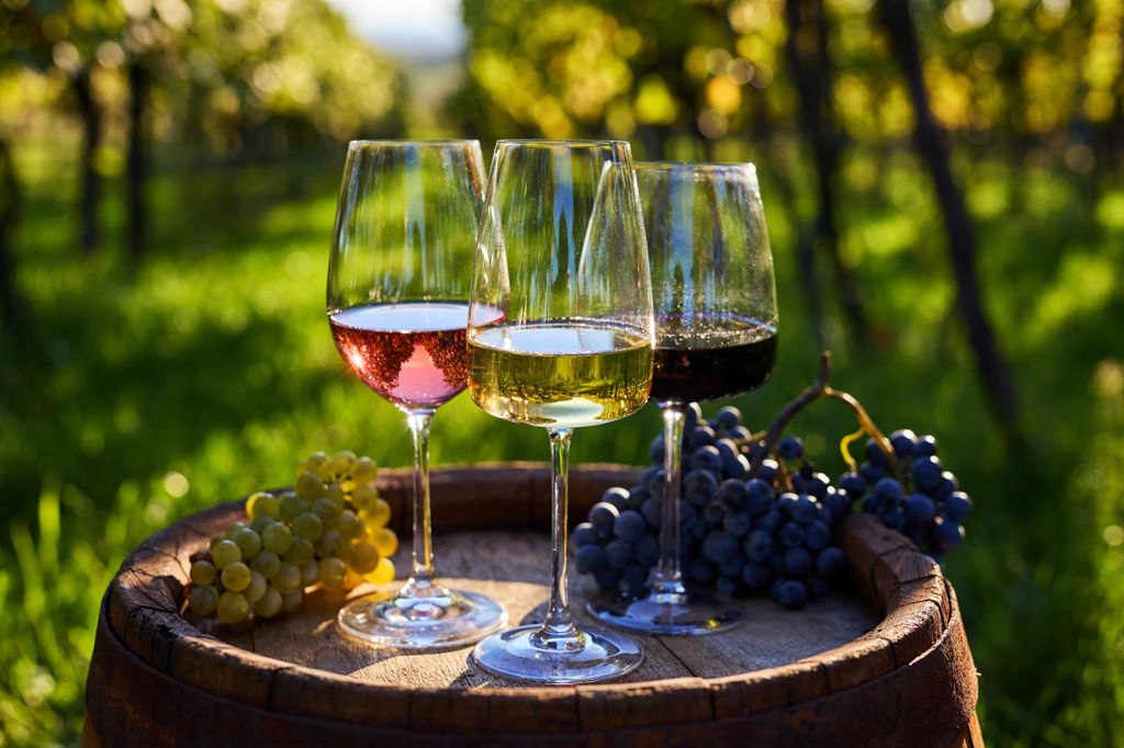 3 copas de vinos (rosado, blanco y tinto) sobre una barrica y varios racimos de uvas blancas y tintas.