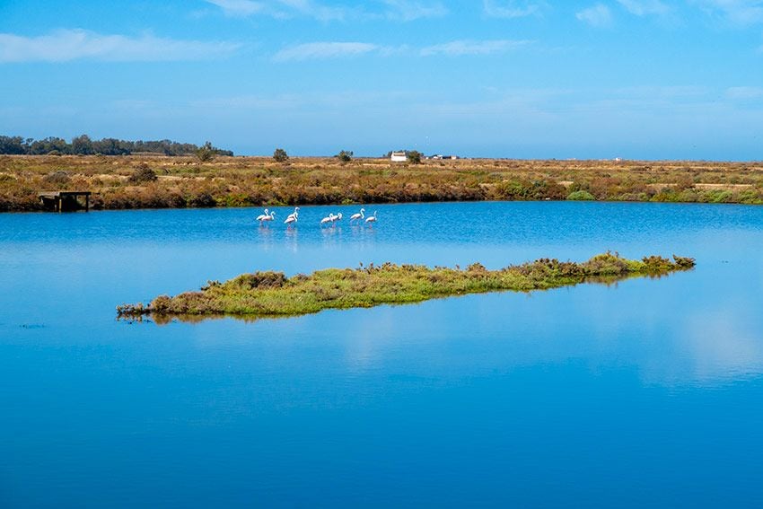 Salinas en Chiclana de la Frontera, Cádiz