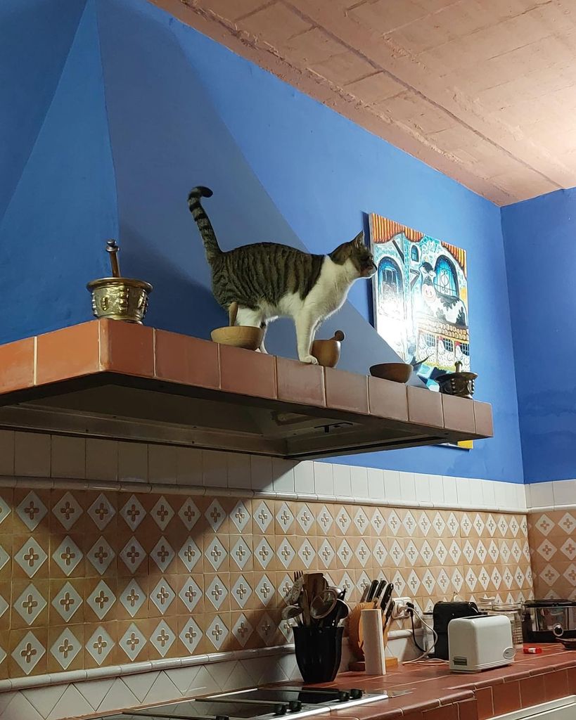 Azulejos con dibujos geométricos en la pared de la cocina de Eugenia Martínez de irujo 