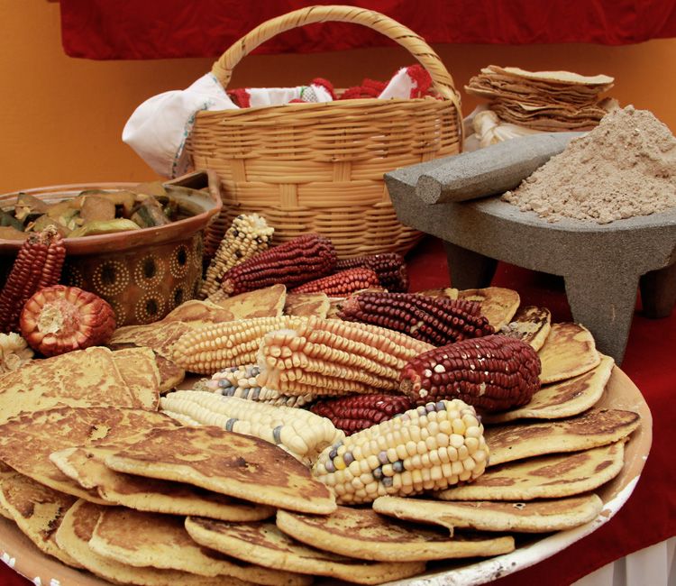 Diferentes tipos de maíz y tortitas