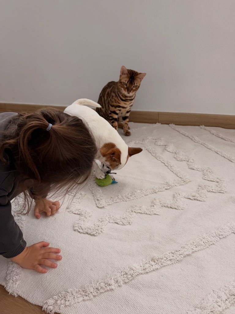 Daliana y Coco jugando