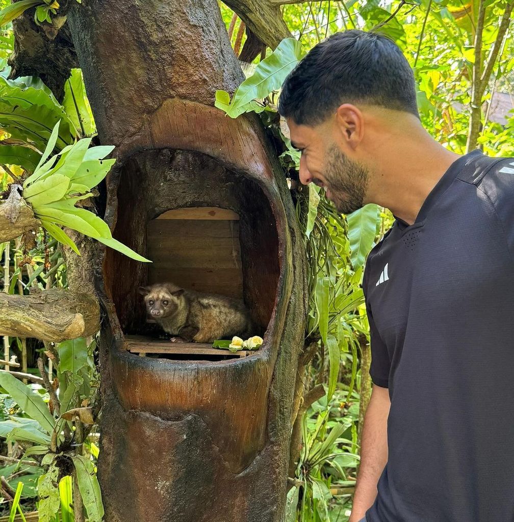 Marco Asensio ha querido conocer la fauna de la isla
