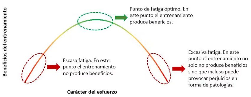 Efecto del entrenamiento siguiendo una función en campana de Gauss o U invertida.