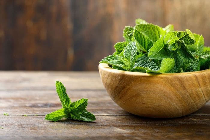 menta