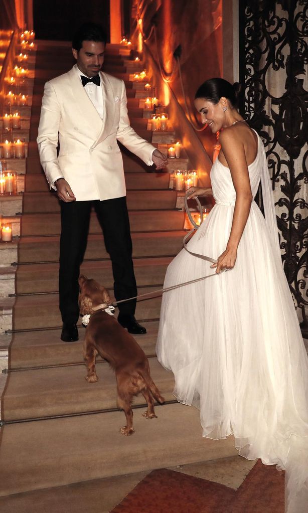 Fíjate en Alex Rivière para preparar tu perro para tu boda