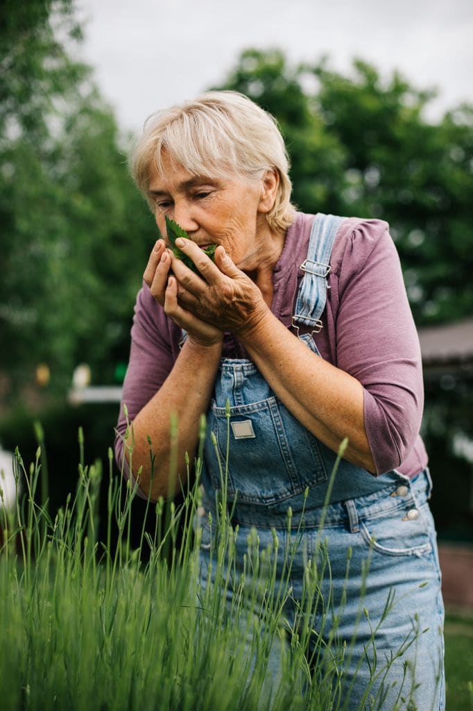 Mujer oliendo la planta de la menta en el jardín