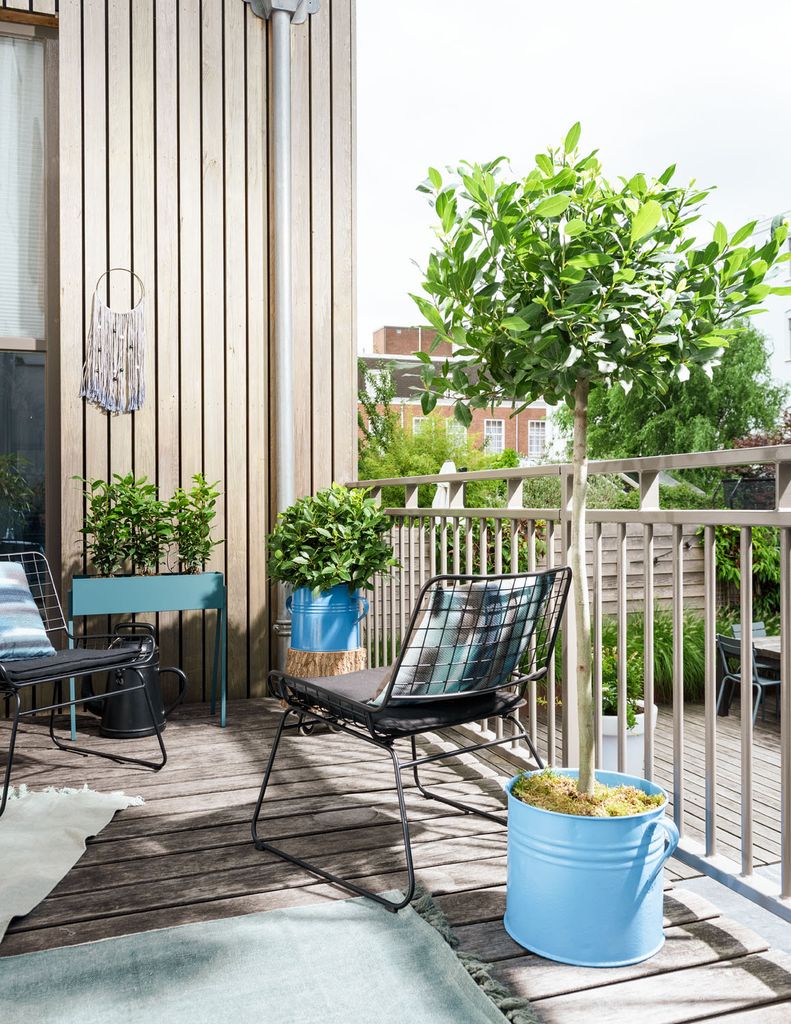 Terraza con un árbol en maceta y plantas de menor tamaño
