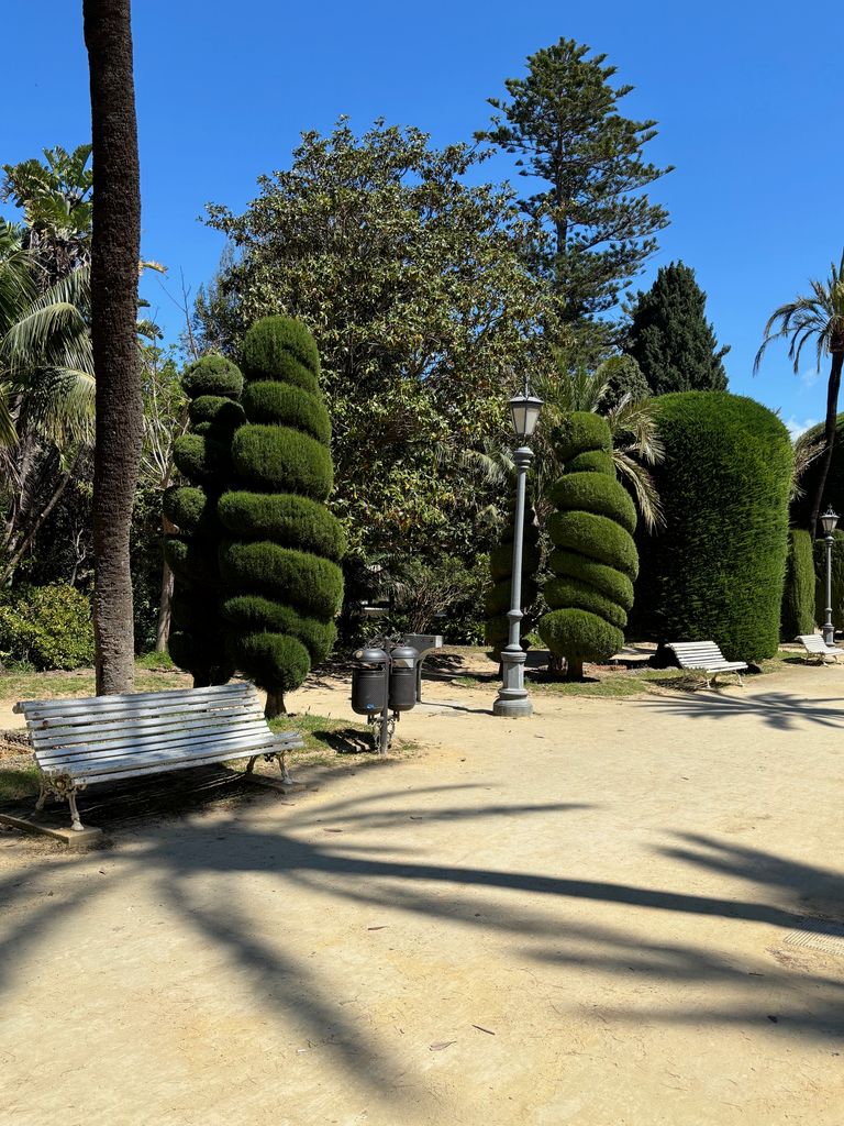 En el Parque Genovés de Cádiz hay más de 150 especies distintas de árboles, palmeras y arbustos, la mayoría exóticas procedentes de otros continentes.