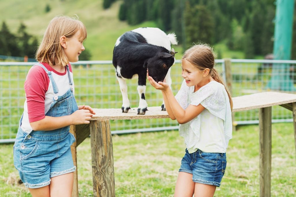 Niñas en una granja durante un campamento