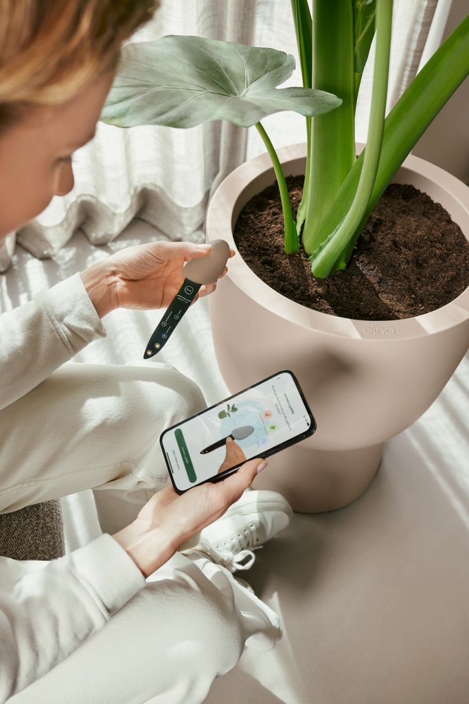 Sistema inteligente para el cuidado de las plantas que ayuda a mantenerlas en buena forma