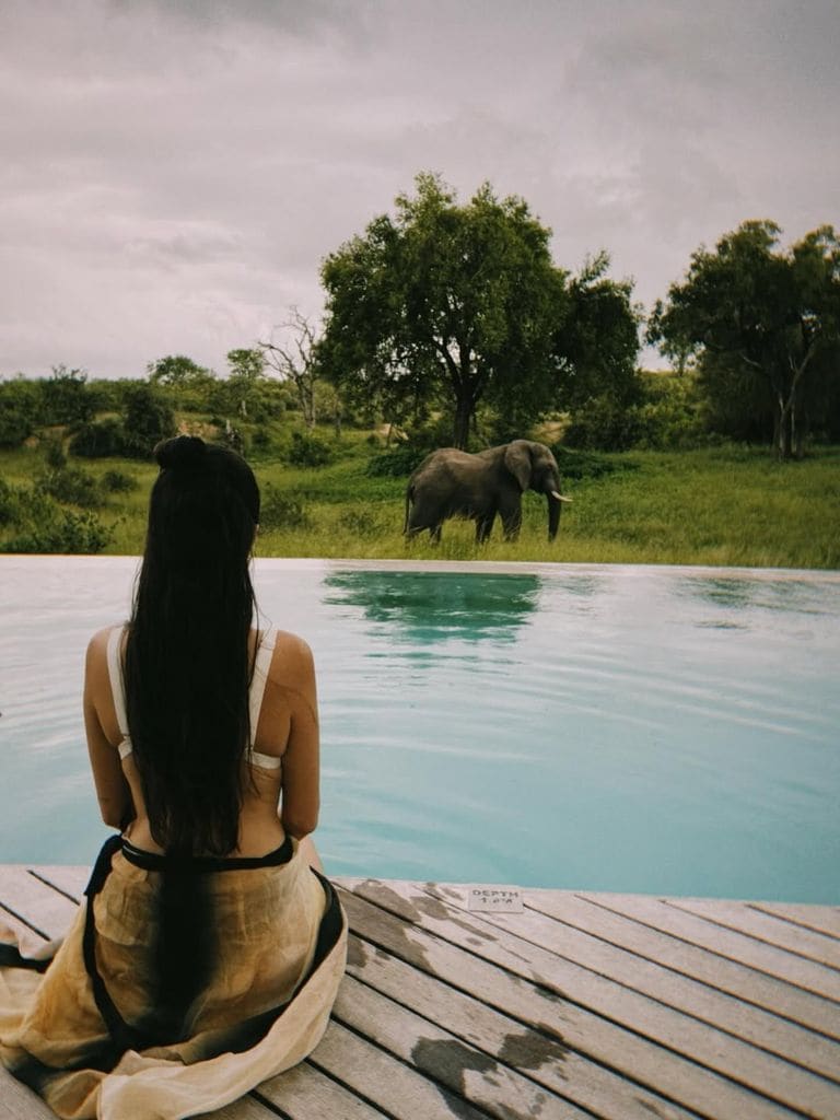 Un elefante, captado en el hospedaje donde se quedaron en este parque nacional.