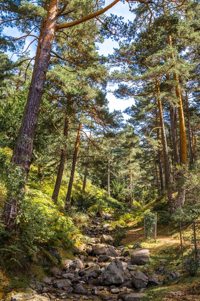 Senda de los Poetas, Cercedilla, Madrid