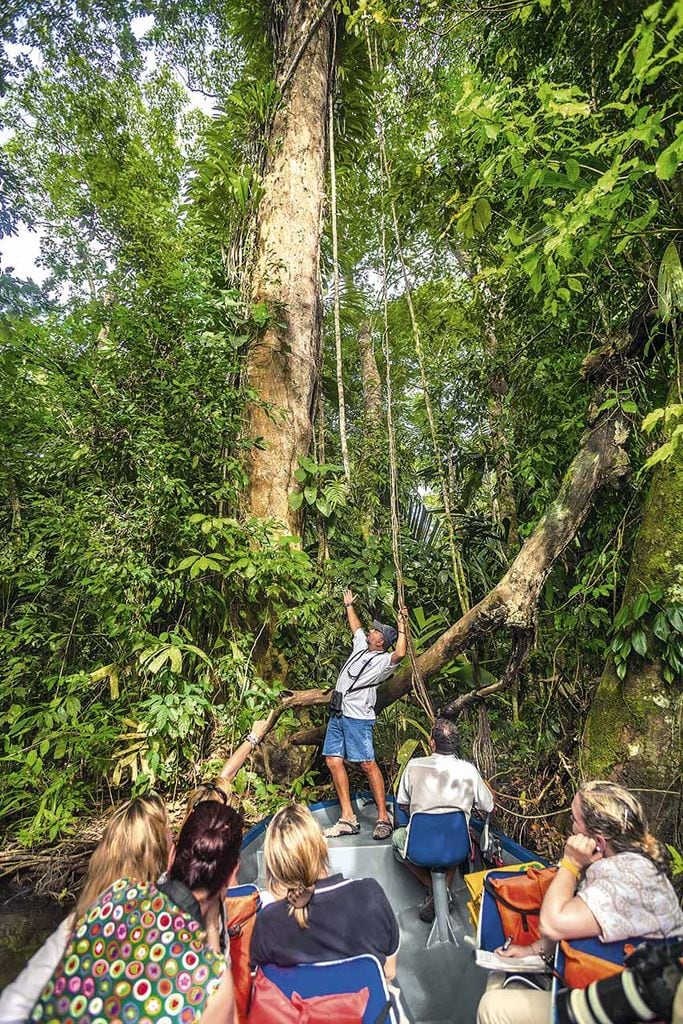Pistas para visitar el Parque Nacional de Tortuguero en Costa Rica
