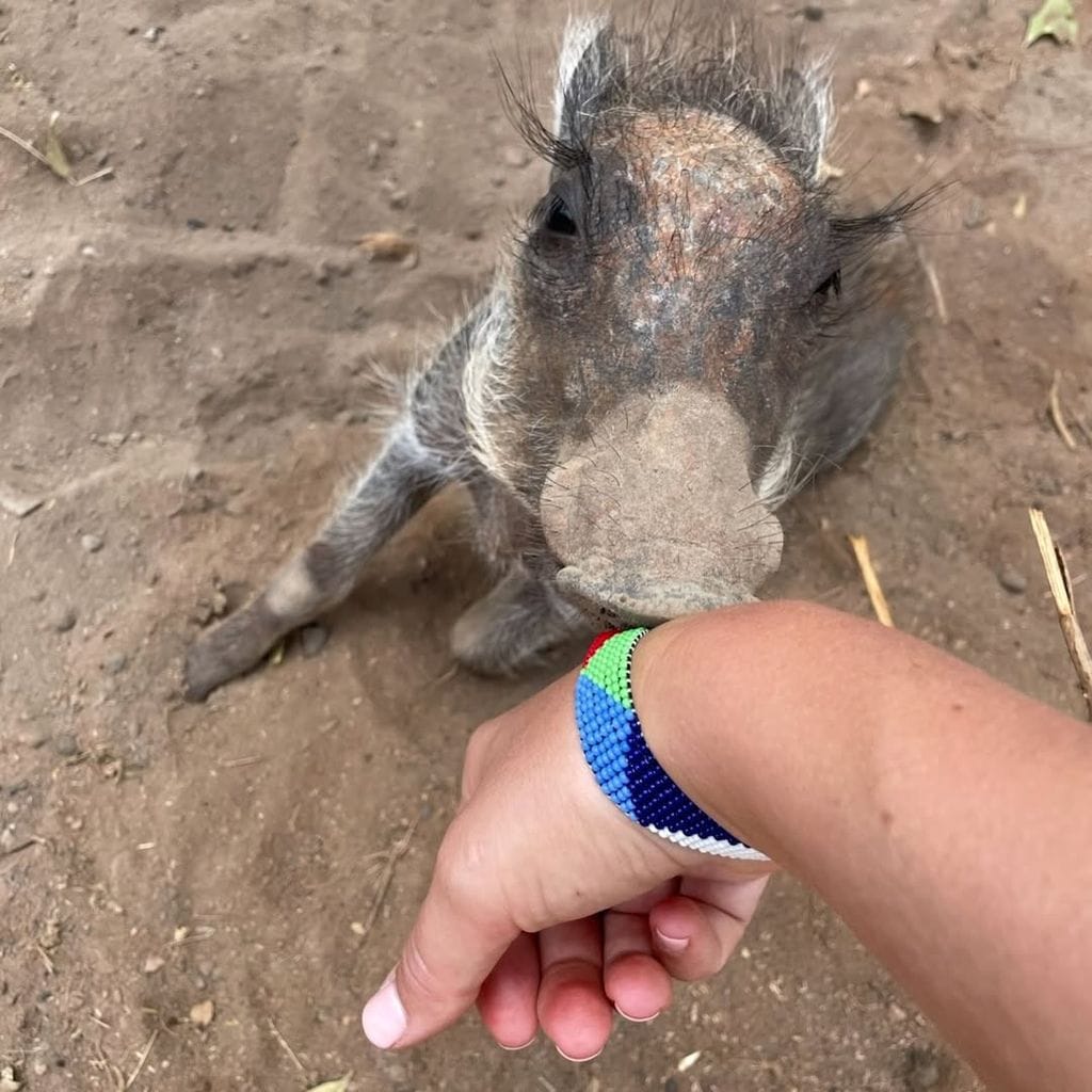 Las aventuras africanas de Philippos de Grecia y Nina Flohr