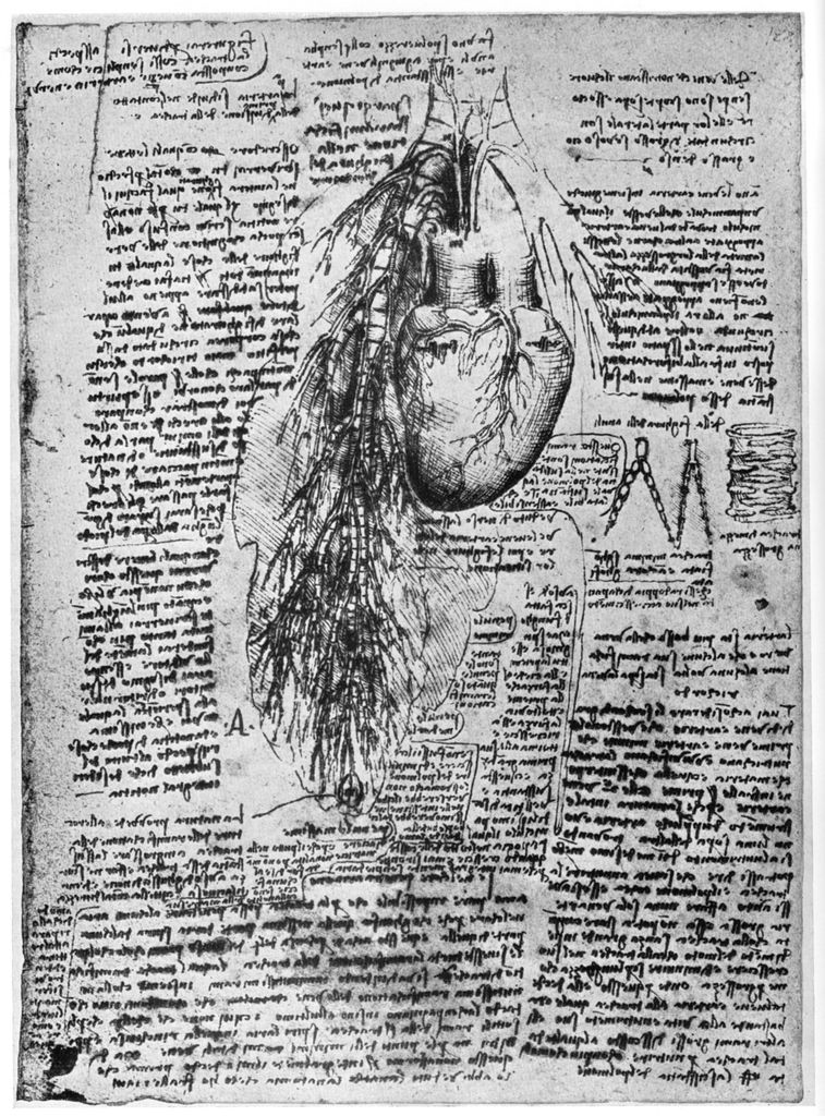 A través de sus bocetos, Leonardo documentó el cuerpo humano con un nivel de observación único en el siglo XVI