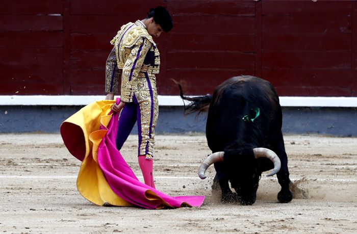 Manuel Diosleguarde
