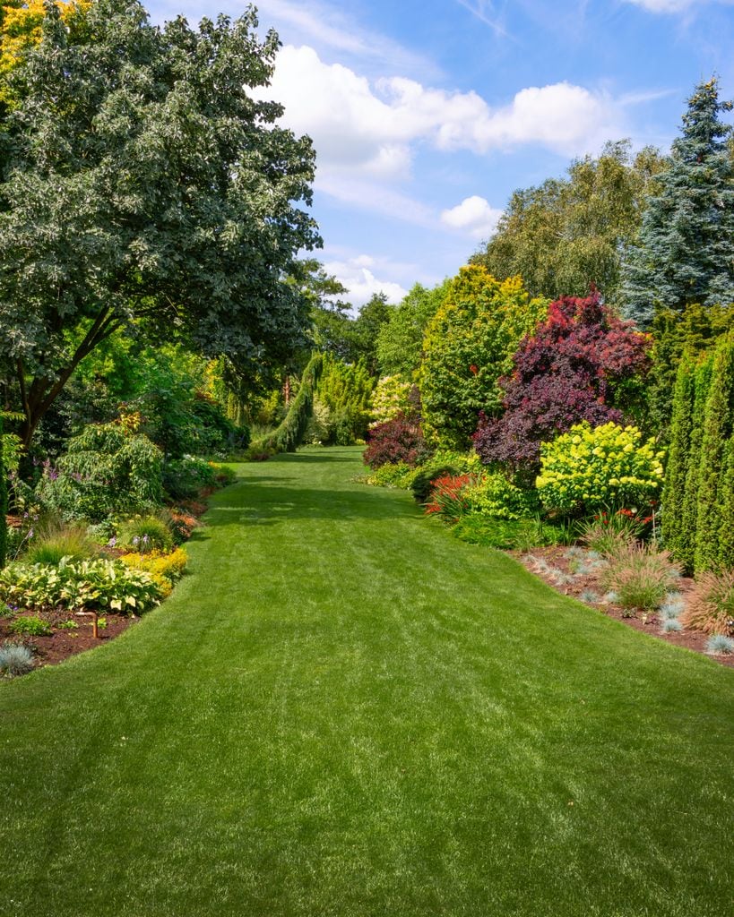 Jardín con pradera
