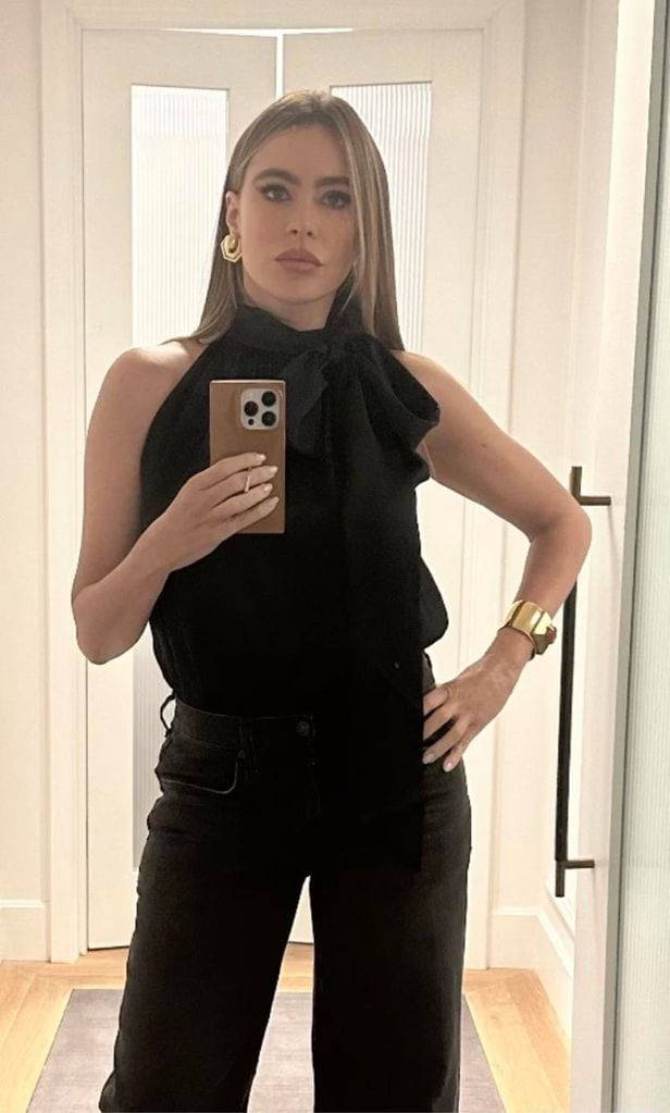 sofia vergara black look