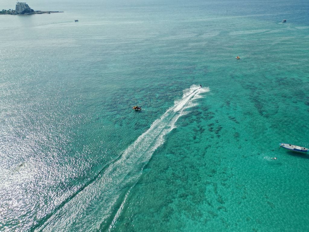 El mar Mediterráneo se tropicaliza
