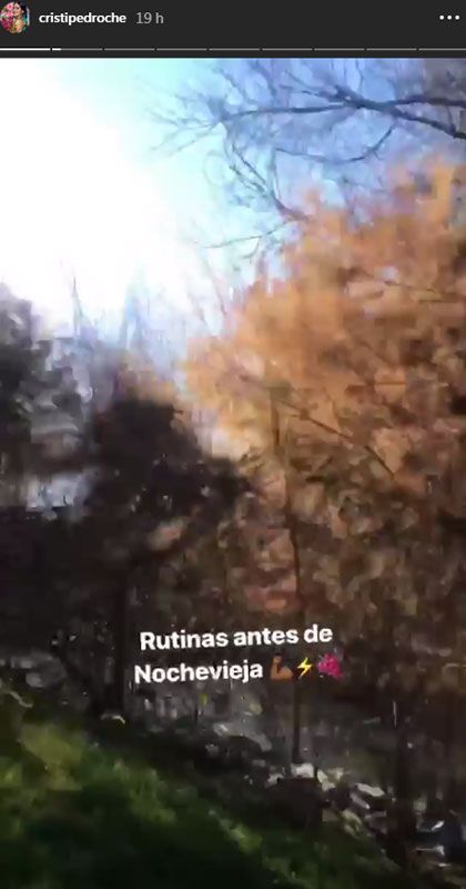 pedroche2