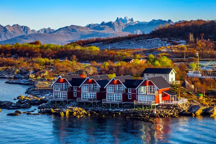 Lofoten-Bustamante