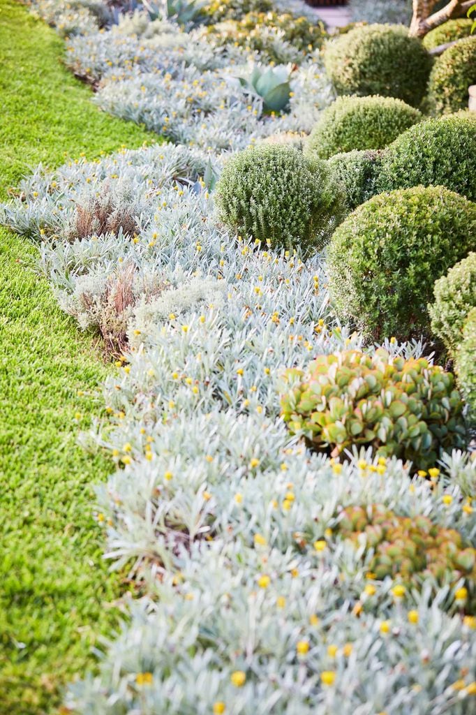 jardines con plantas tapizantes
