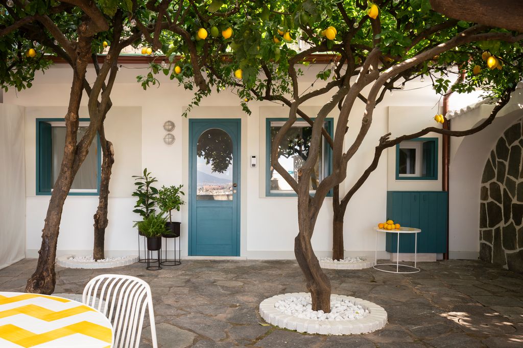Patio con limoneros que regalan aroma y sombra