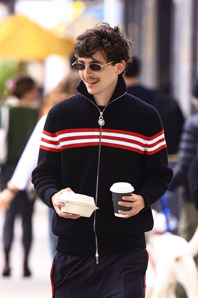 Timothee Chalamet 