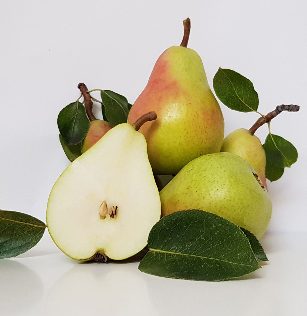 Pera blanquilla.