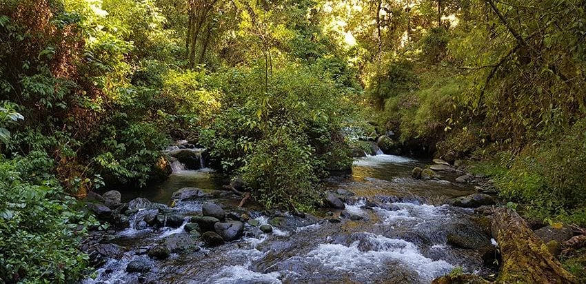 Naturaleza junto al Trogón Lodge, Costa Rica