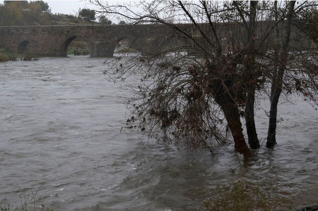 Vista del río Tormes a su paso por la localidad abulense de El Barco de Ávila este viernes, después de las lluvias y el viento de las últimas horas.