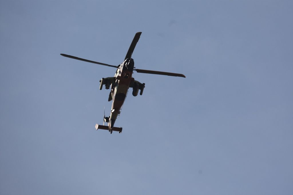 53 helicópteros han participado en el desfile aéreo
