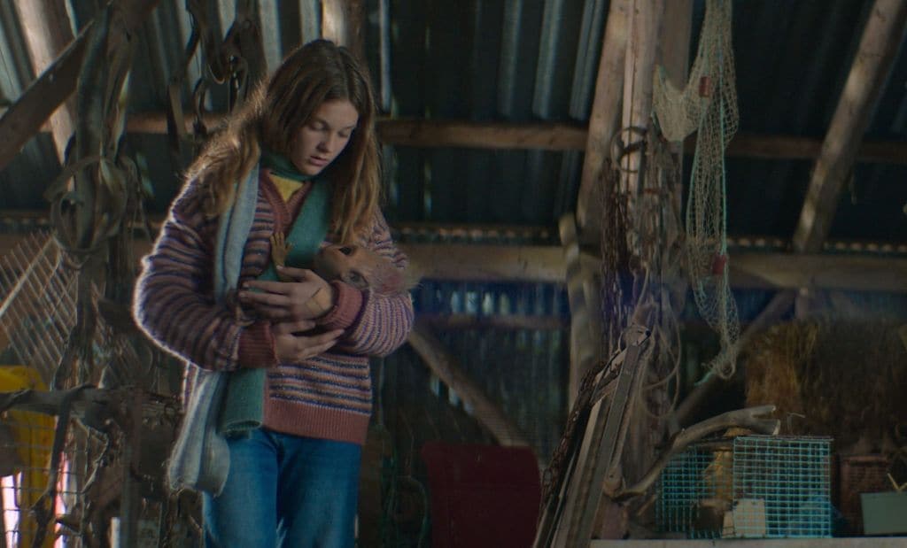 Cuando la niña encuentra un bebé elfo y se lo lleva a casa, rompe sin querer la frágil armonía de la isla, desatando una lucha a vida o muerte por la familia, la fe y la supervivencia