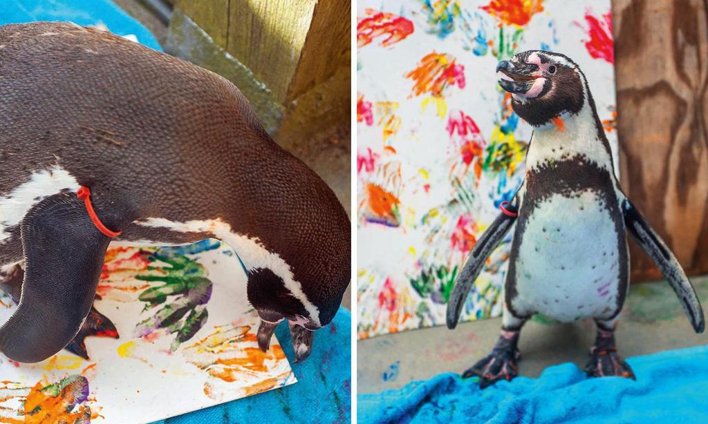 APEX_Painting_Penguin_07-Collage-U04150884845KTU