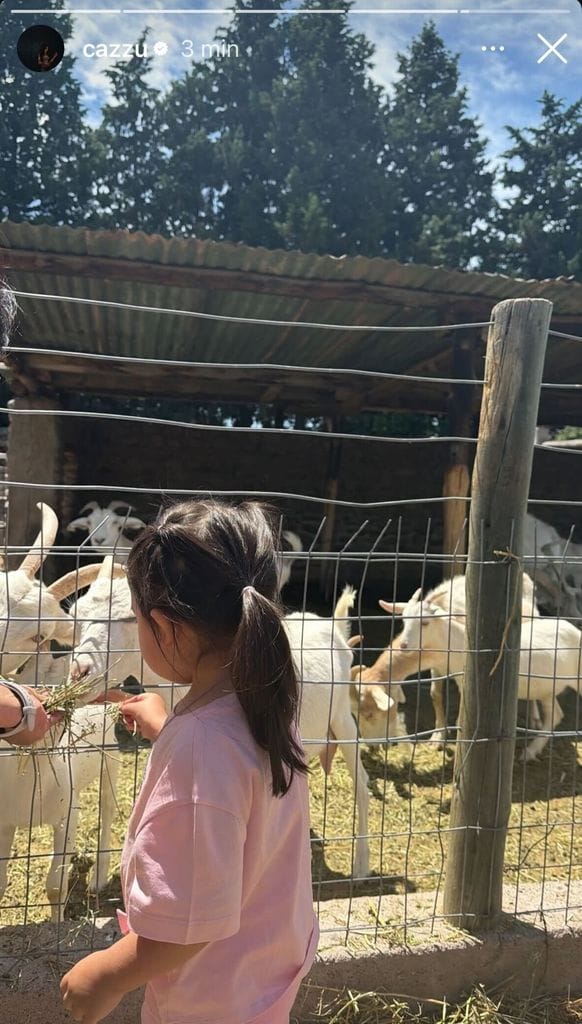 Inti conviviendo con animales de campo.