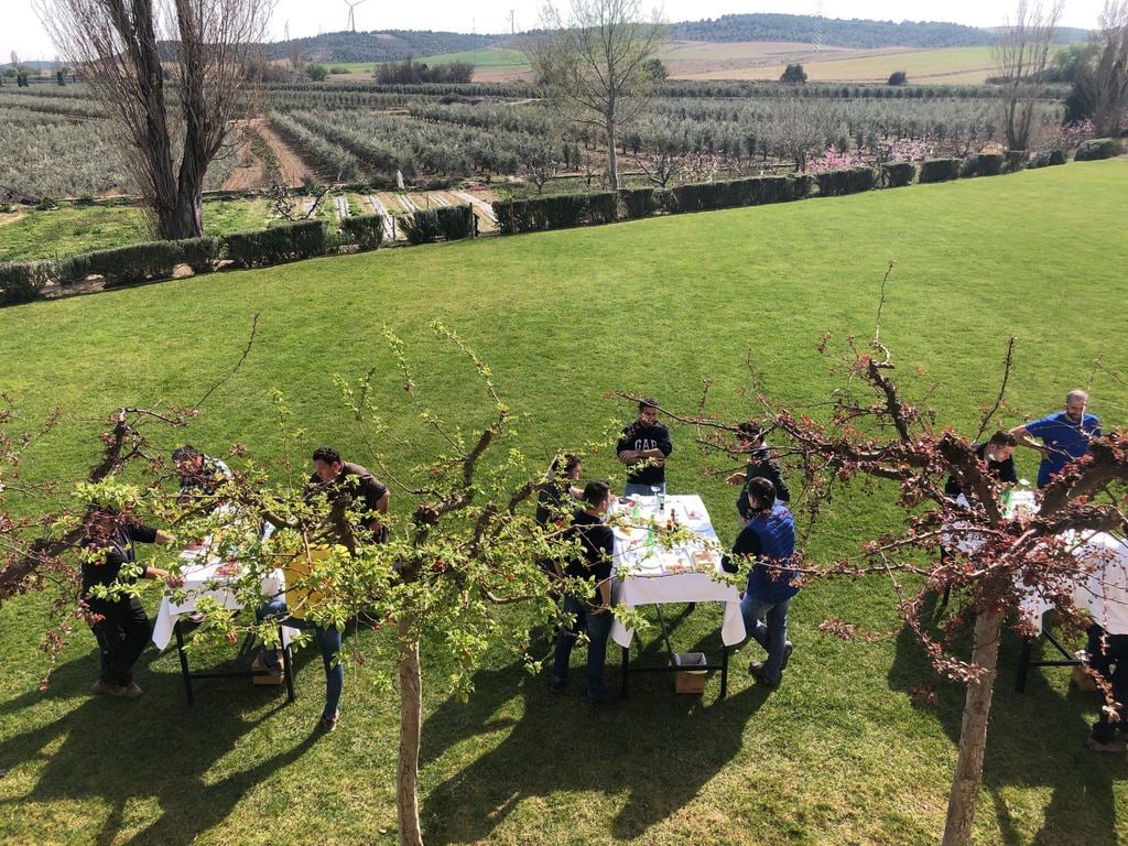 Pícnic entre olivos, una de las actividades de oleoturismo de Aceite Artajo